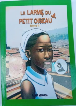 Synthèse La Larme du Petit Oiseau _ Tome 2